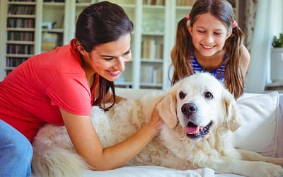 Le migliori case vacanza Pet Friendly: un paradiso per te e il tuo amico a quattro zampe